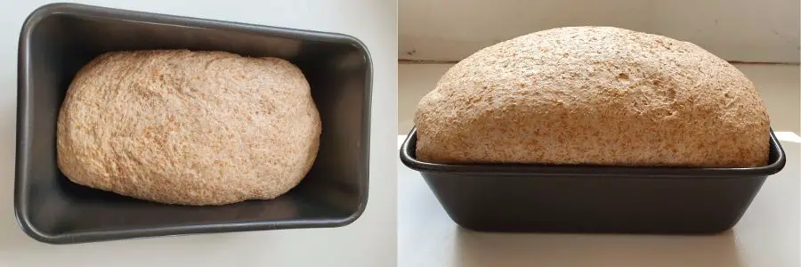 What is Dough Proving (Proofing) & How to do it Properly