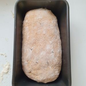 Image of spelt loaf shaped dough in tin