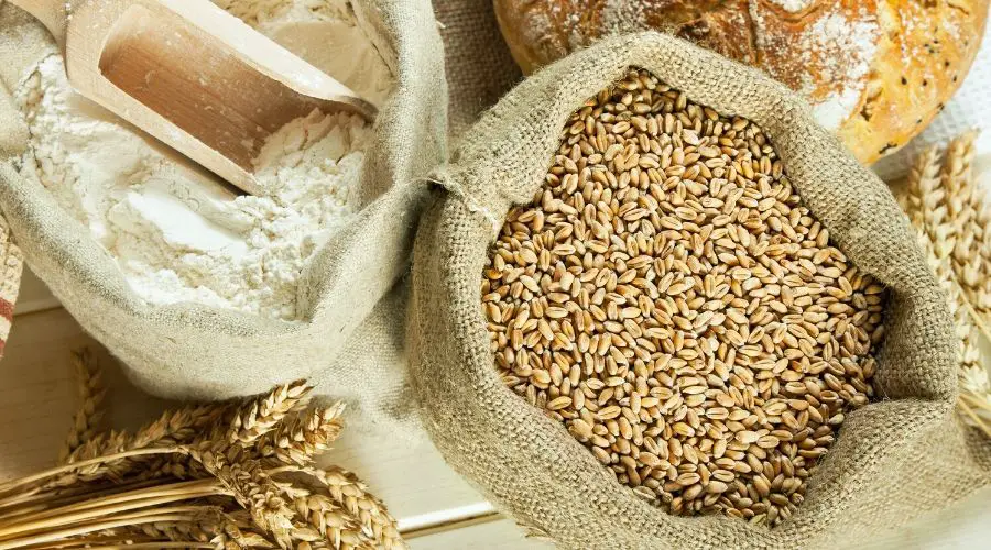 The best bread flours in the UK page image