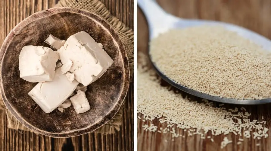 Image of dried and fresh yeast products