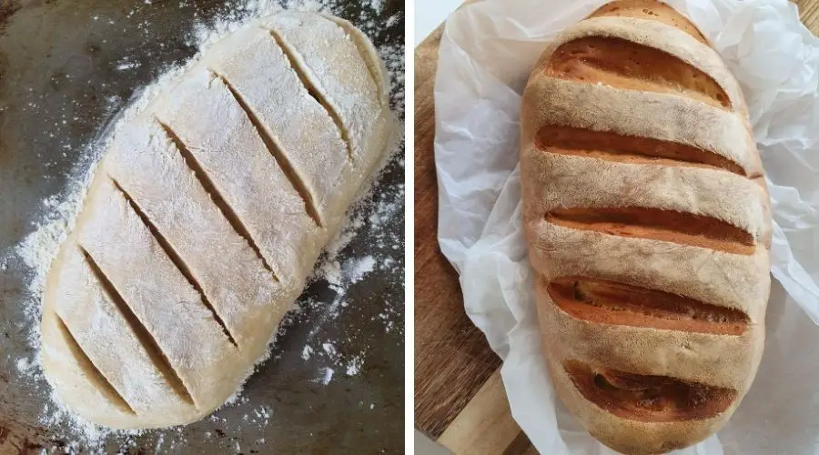 Bloomer Bread Tips On How To Bake It, Ingredients & More! Loafy Bread