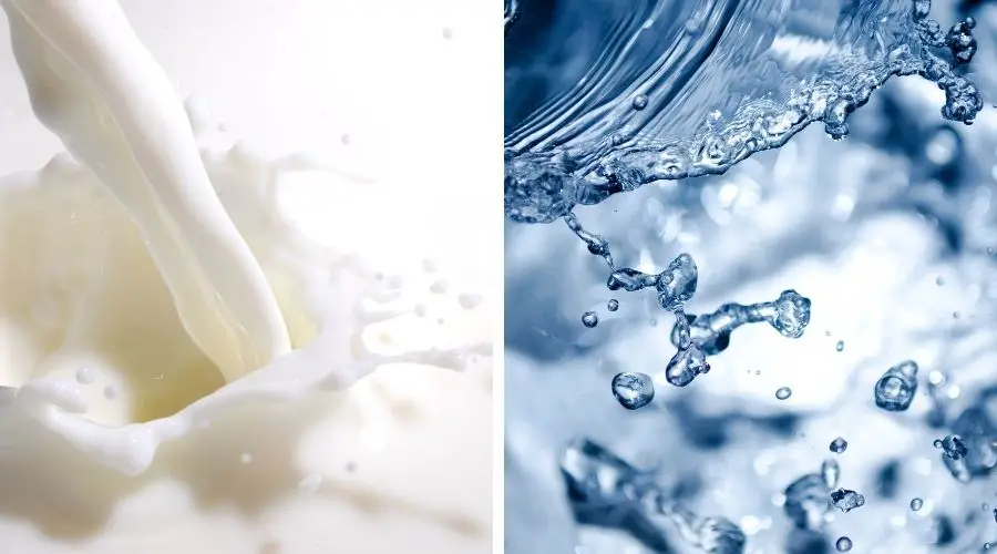 Homemade Bread With Milk Or Water: Which One Is Better? - Loafy Bread