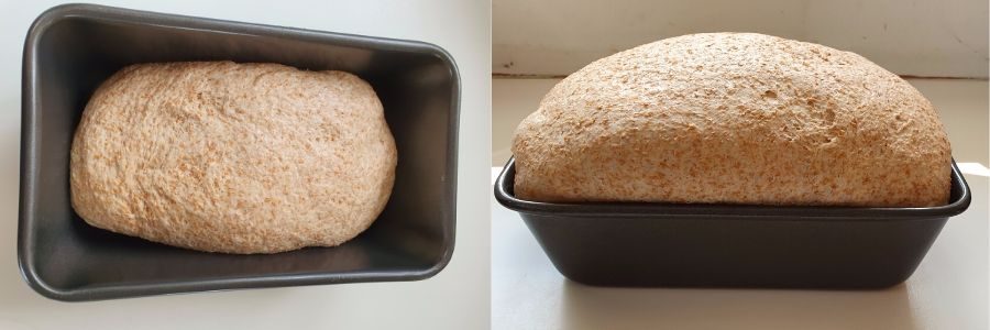 Before and after dough is proved